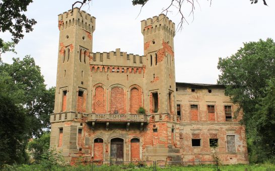 Ruiny pałacu w Boguszycach